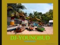 Island vibes mix april 2013 djyoungbudvirgozaggachrismartinsizzlavegaschronixxdavillemore