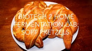 Biotech 2 Fermentation Project: Soft Pretzels screenshot 4