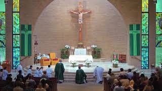 7/12/26 15th Week in Ordinary Tine 9:30 am Mass