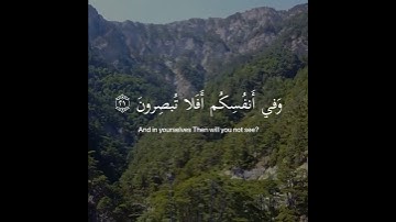وَفِي ٱلۡأَرۡضِ ءَايَٰتٌ لِّلۡمُوقِنِينَ || سورة الذاريات || اسلام صبحي 💙🍃