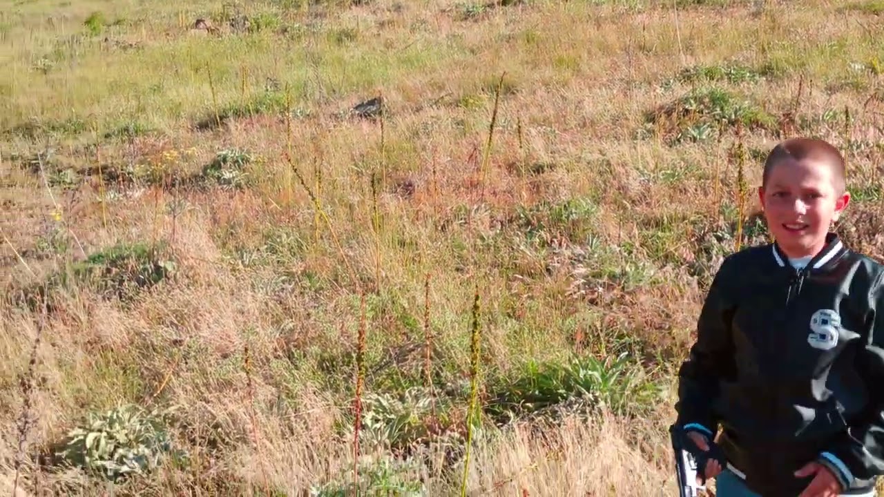 Suşehri Güdeli Köyü Yaylası 2023 çekimi