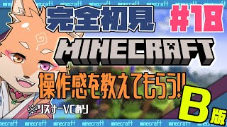 【参加型（限定メンバー）・マインクラフト・リスナーVCあり】このワールドはまだ味がするというハッピーセットｗ＃18