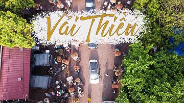 Đặc Sản bắc Giang #2 | Một buổi thu hoạch Vải Thiều Lục Ngạn cùng người dân | Hùng Travel