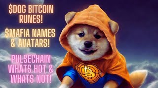 $DOG Bitcoin Runes! $Mafia Names & Avatars! Pulsechain Whats Hot & Whats Not!