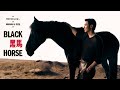  ronghao li black horseofficial music