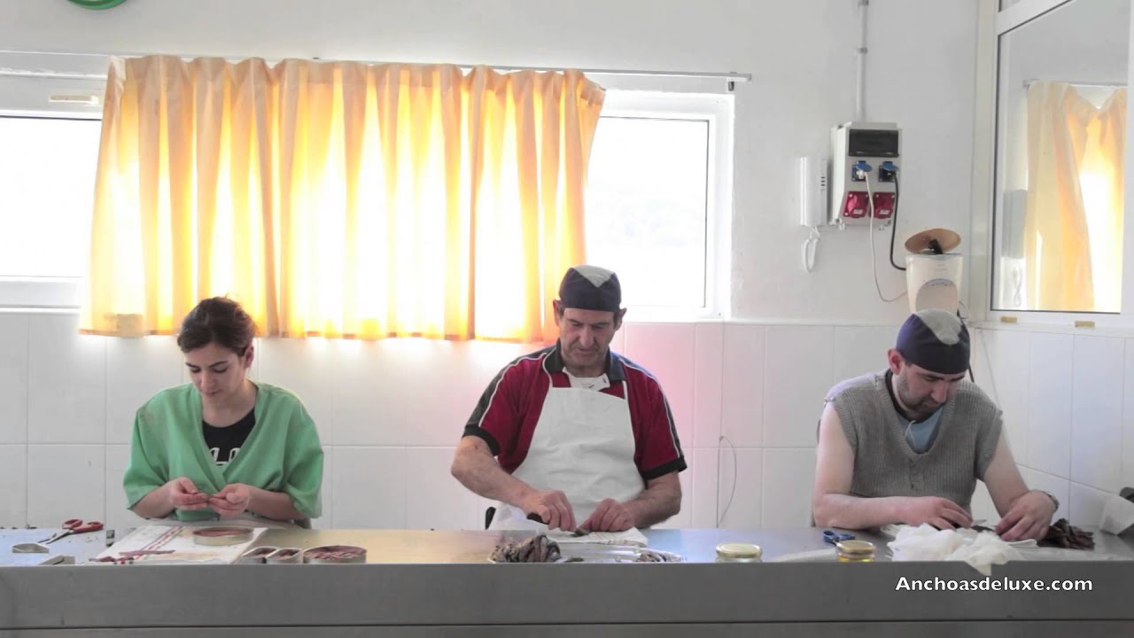 Como se hacen las Anchoas de Santoña, elaboradas a mano.
