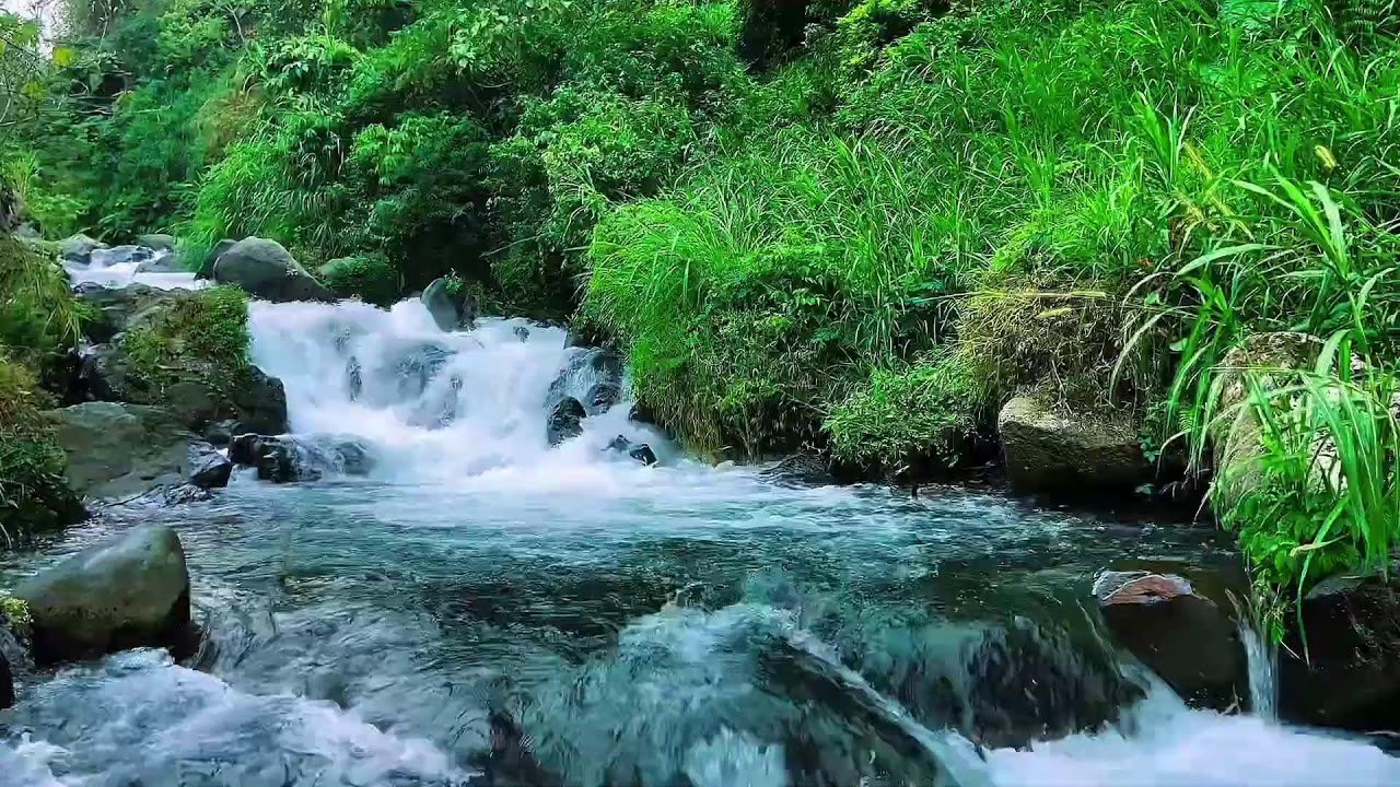 Natural Flowing Water Forest River, Mountain Stream, Sleep