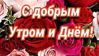 Доброе утро и хорошего дня! Красивая музыкальная открытка!