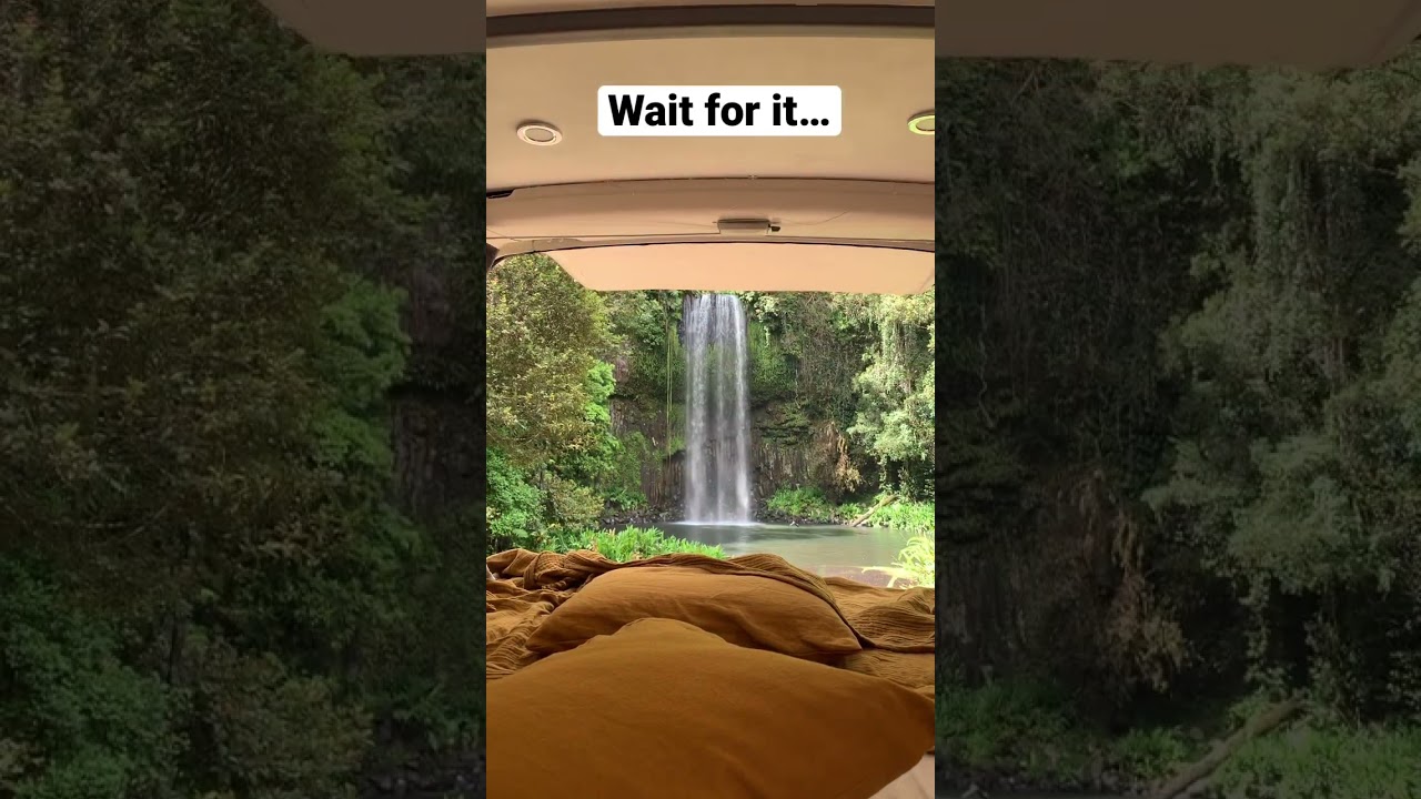 Woke up to this view 🤯    Millaa Millaa Falls 💦