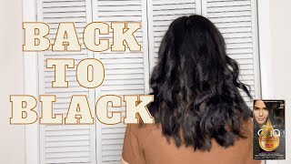 GARNIER OLIA 4.0 DARK BROWN PERMANENT HAIR COLOUR | FOLLOW UP REVIEW!