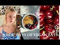 WHAT I EAT IN A FEW DAYS AS A VEGAN TEEN | mini grocery haul, vegan california rolls and hiking🌲