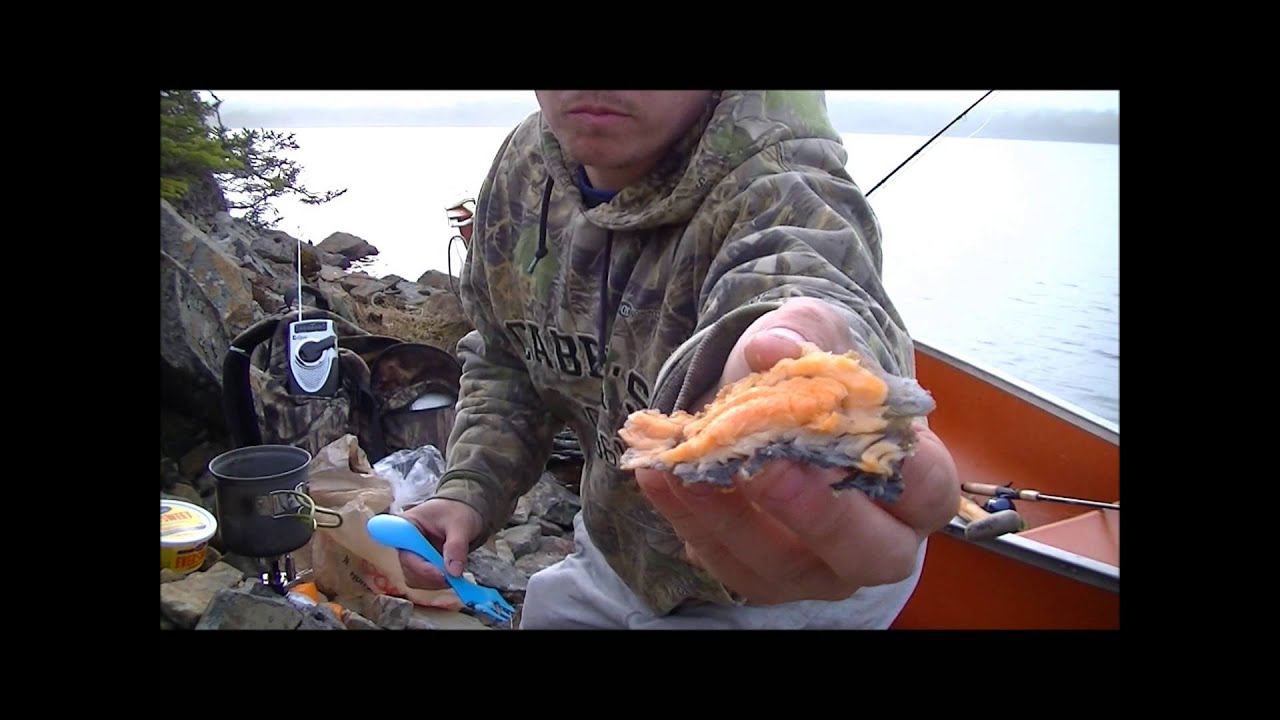 Trout Fishing and Shore Lunch - YouTube