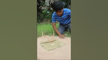 Creative DIY Quail Underground Bird Trap # shorts #create #traps