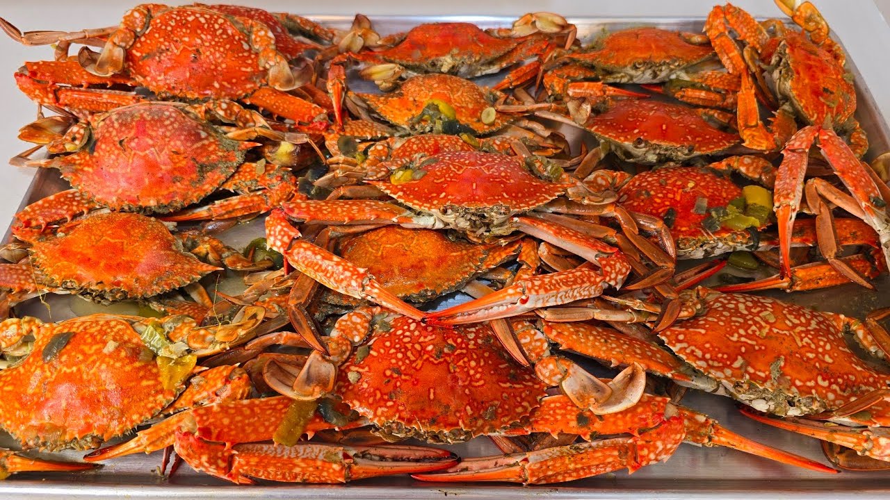 أنجح طريقة لعمل الكابوريا ولا أشهر وأكبر مطاعم السمك في اسكندريه| سلوى نبيل