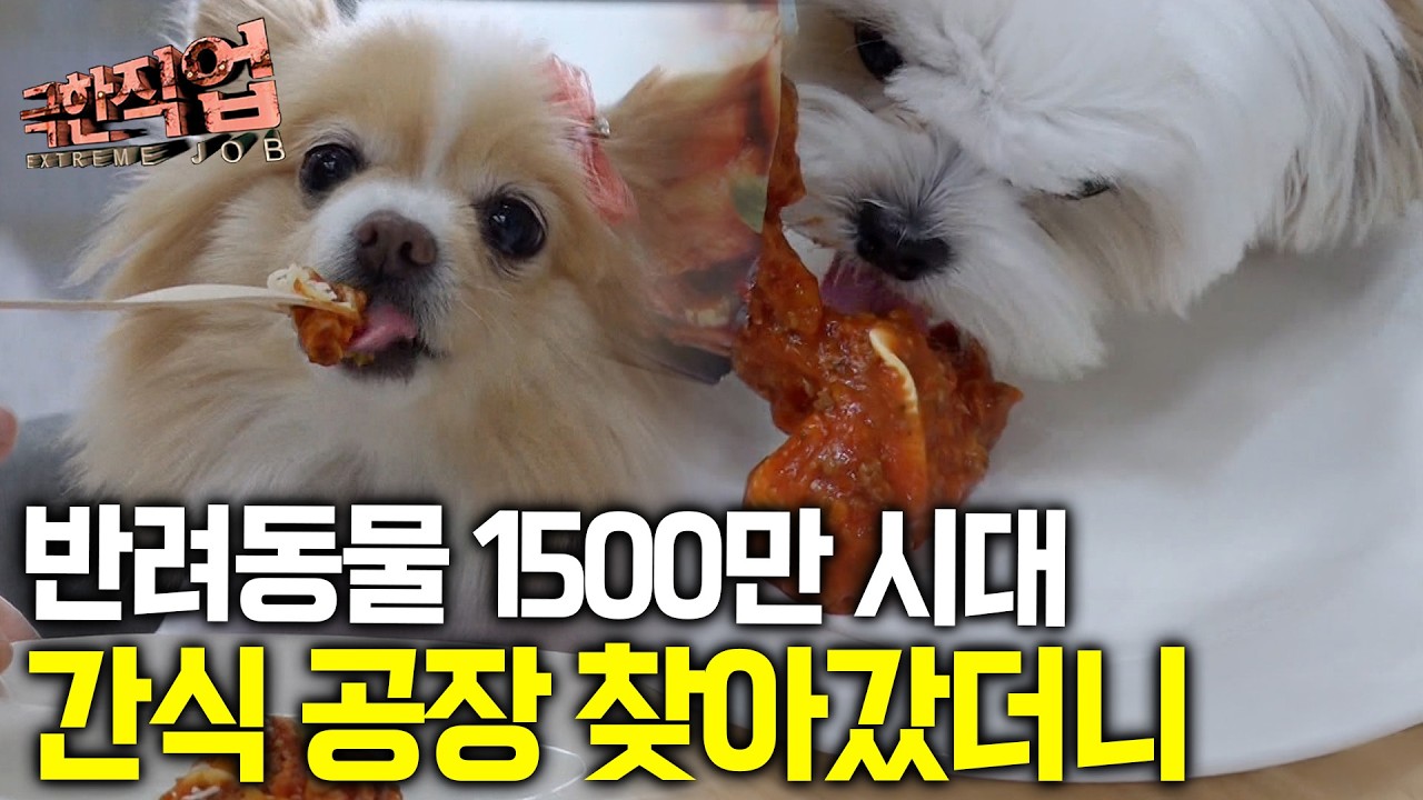 "여기 어디에요!? " 난리난 공장, 직접 찾아가 위생상태부터 제조과정까지 찾아가본 반려견 간식공장에서 생긴 일｜극한직업