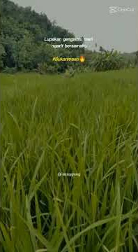 Salam ngarit  .
