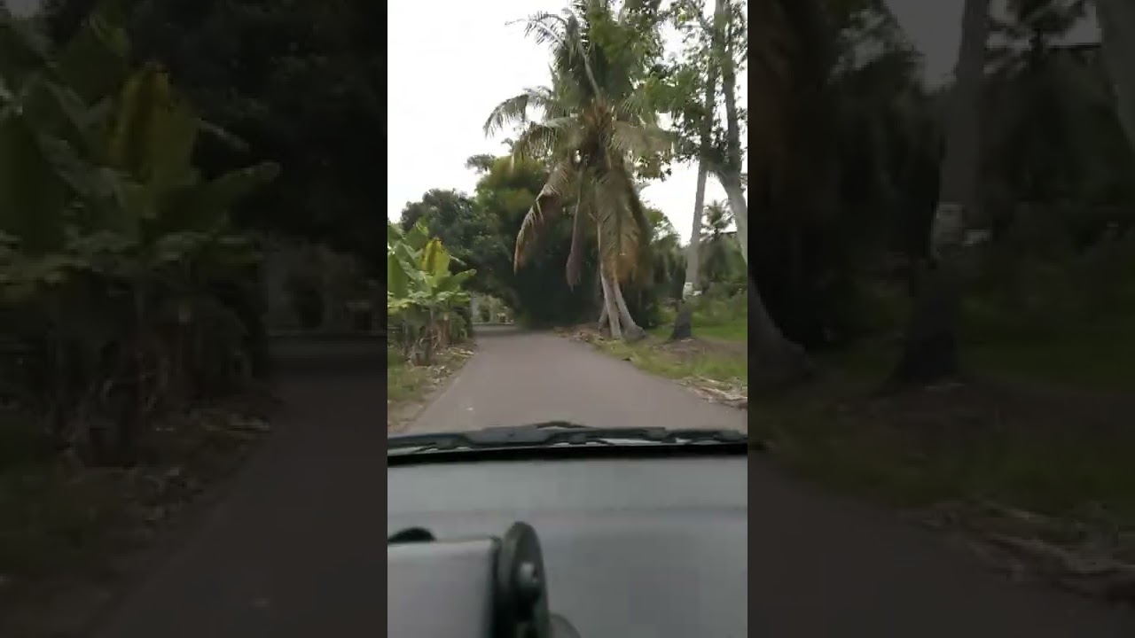 Tantom Tano tombangan full jalan sayur matinggi tu lumbanjabi-jabi lewat saotik (mei 2022)