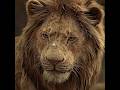рџ Simba Always Thought That He Was The One Who Killed Mufasa рџ Edit Movie Shorts рџ Simba Always Thought That He Was The One Who Killed Mufasa рџ Edit Movie Shorts