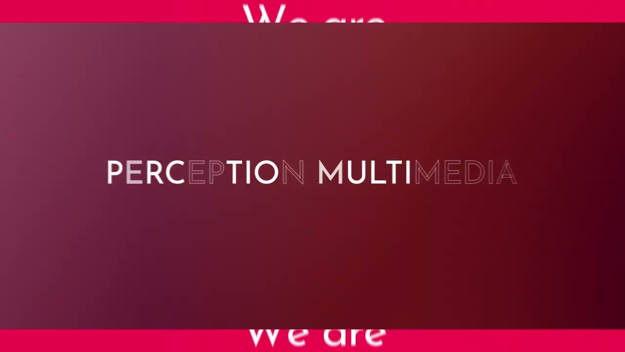 Perception Multimedia — Agency Overview
