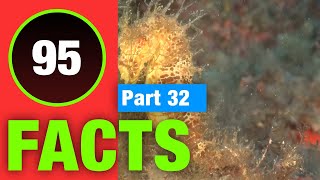 95 Facts You Didn't Know | Random Facts You Didn’t Know