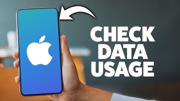 How To Check Cellular Data Usage On iPhone 2025 (Step-By-Step Tutorial)