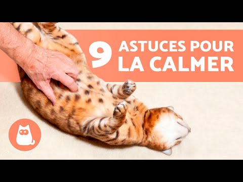 Comment CALMER les