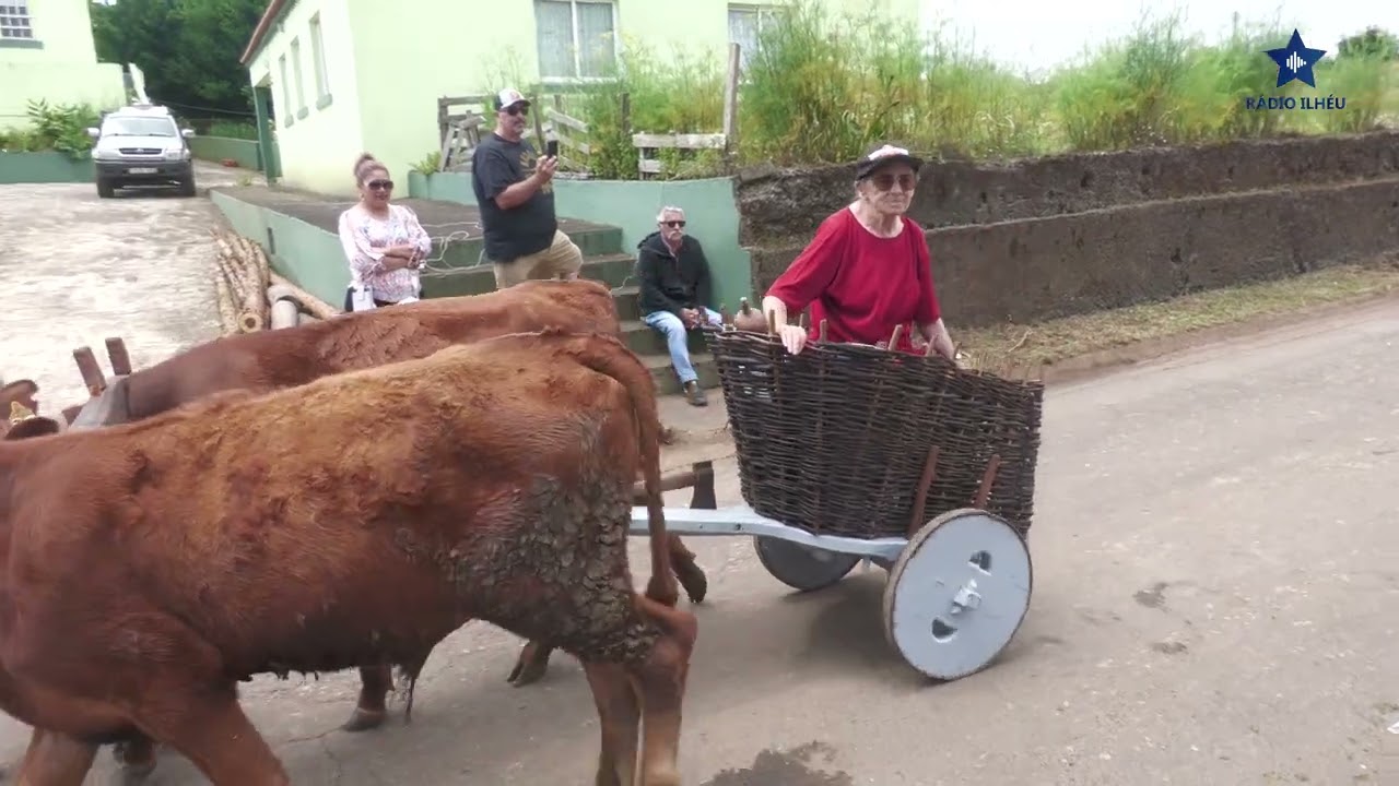 #SãoTomé.  Cortejo do 'Bodo de Leite 2024'