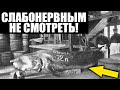 СЕНСАЦИЯ! УЧЁНЫЕ РАЗГАДАЛИ ТАЙНУ ДРЕВНИХ ЛЮДЕЙ! 01.06.2021 ДОКУМЕНТАЛЬНЫЙ ФИЛЬМ HD