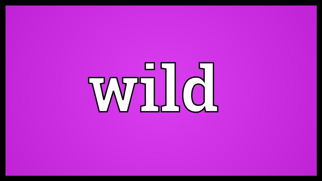 WILD meaning, definition & pronunciation, What is WILD?