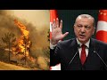 Վառվում են ոչ միայն Թուրքիայի անտառները, այլև Էրդողանի խաղաքարտերը