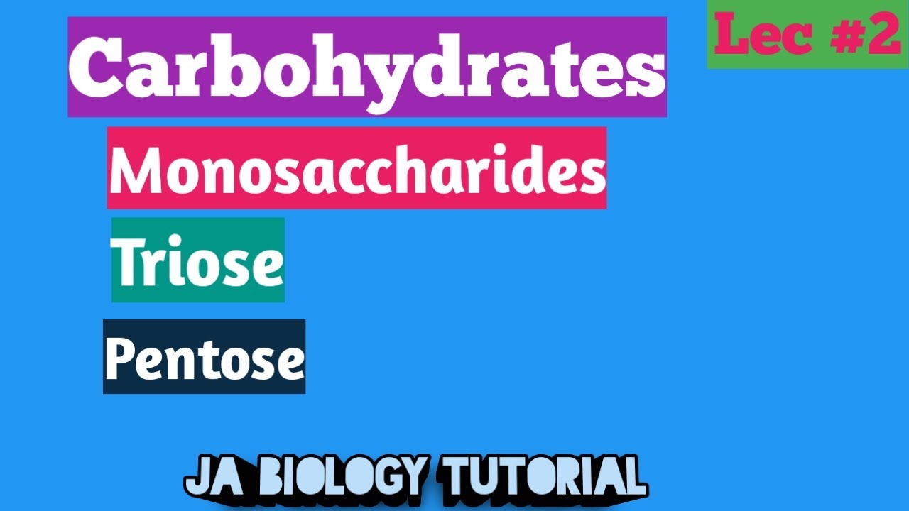Carbohydrates, introduction, definition, classification