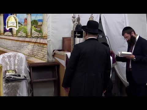 שידור חי מהסוכה של הרב ישראל אברג'ל שליט"א, בנו וממשיך דרכו של הרב יורם אברג'ל זיע"א