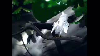 Talking Larry Twerks (Random Edit/Shitpost)