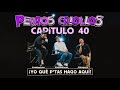 PERROS CRIOLLOS - YO QUÉ PUT455 HAGO AQUÍ, CAP. 40