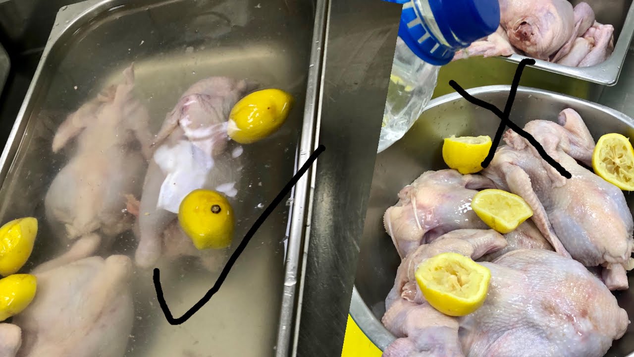 ازاي تحقق زيرو زفاره و 100%نظافه عندغسل الدجاج