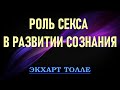 Роль секса и зависимостей в развитии сознания [Э. Толле]