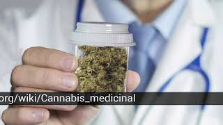 The best sources of therapeutic marijuana by Best lists 12 views 1 year ago 50 seconds