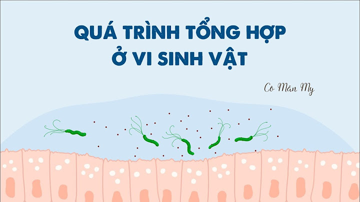 So sánh quang hợp ở các loài vi sinh vật