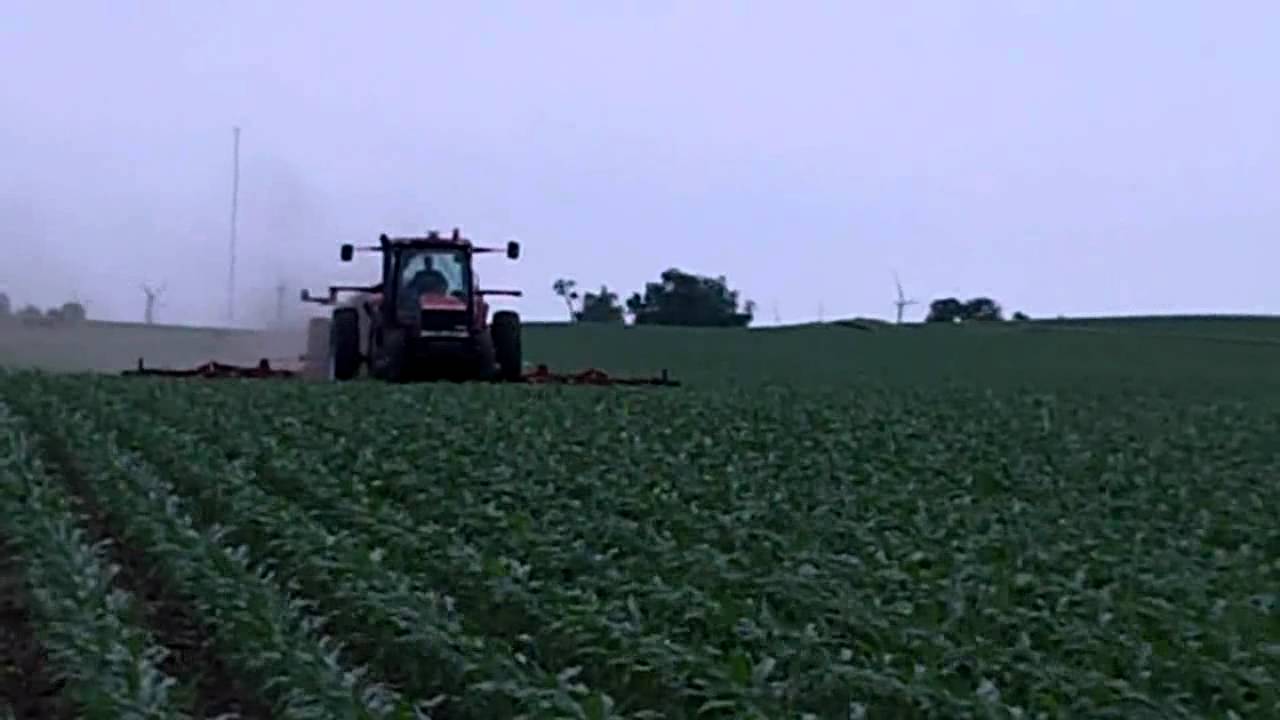 Spring Corn Side dress 28 YouTube