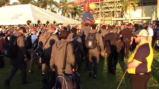 Boca Raton Bowl: Akron Team Arrival, Band & Fans Outside FAU Stadium - Dec.19, 2017