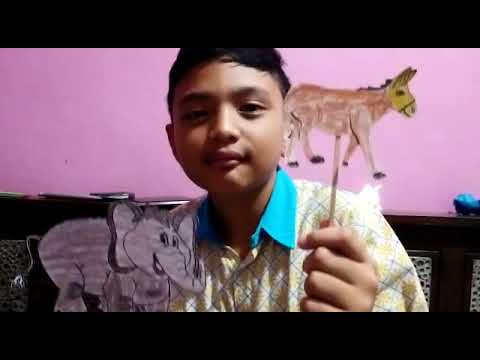 Membuat wayang hewan  sederhana  YouTube