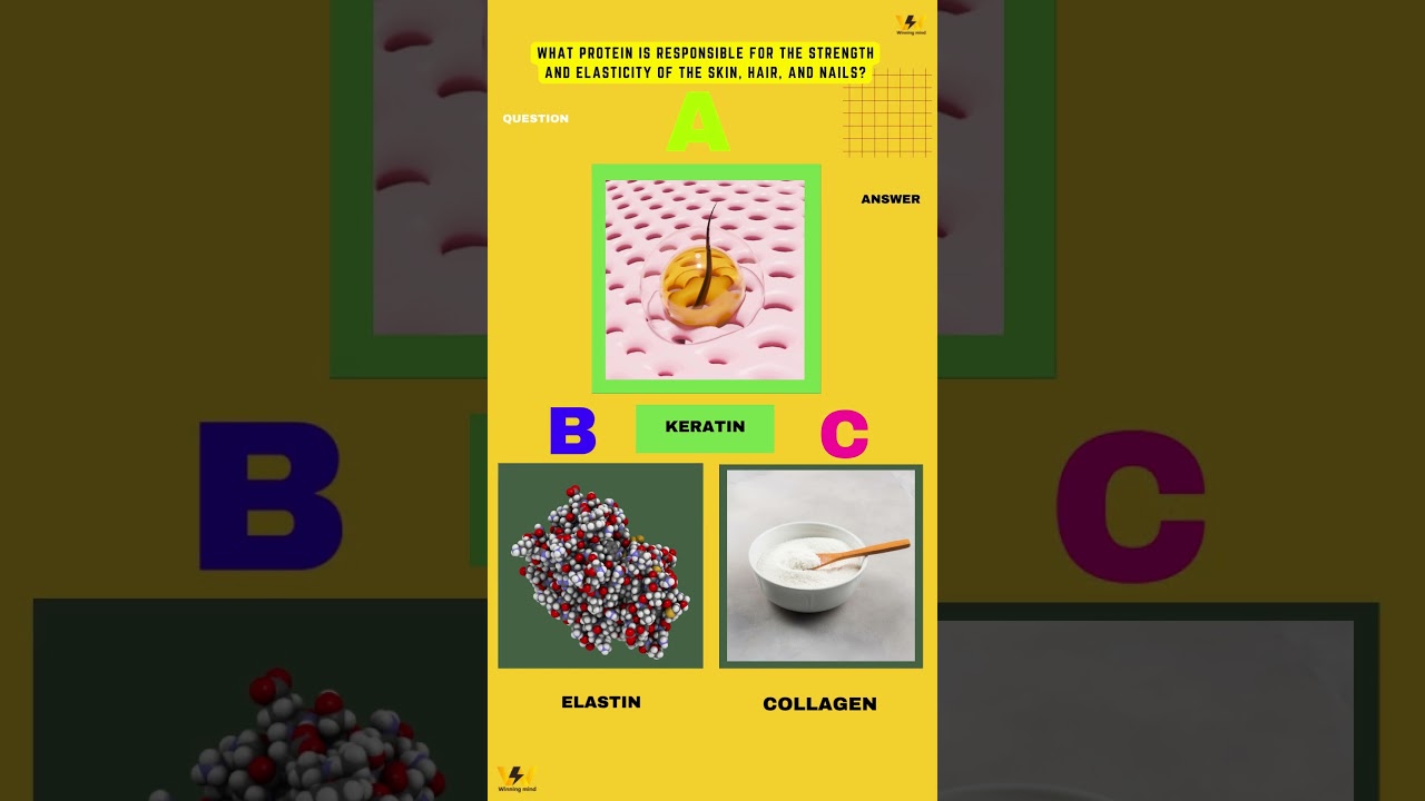 health quiz Daily Knowledge - 