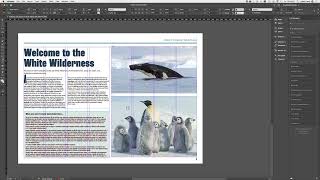 Adobe InDesign Introduction Part 1