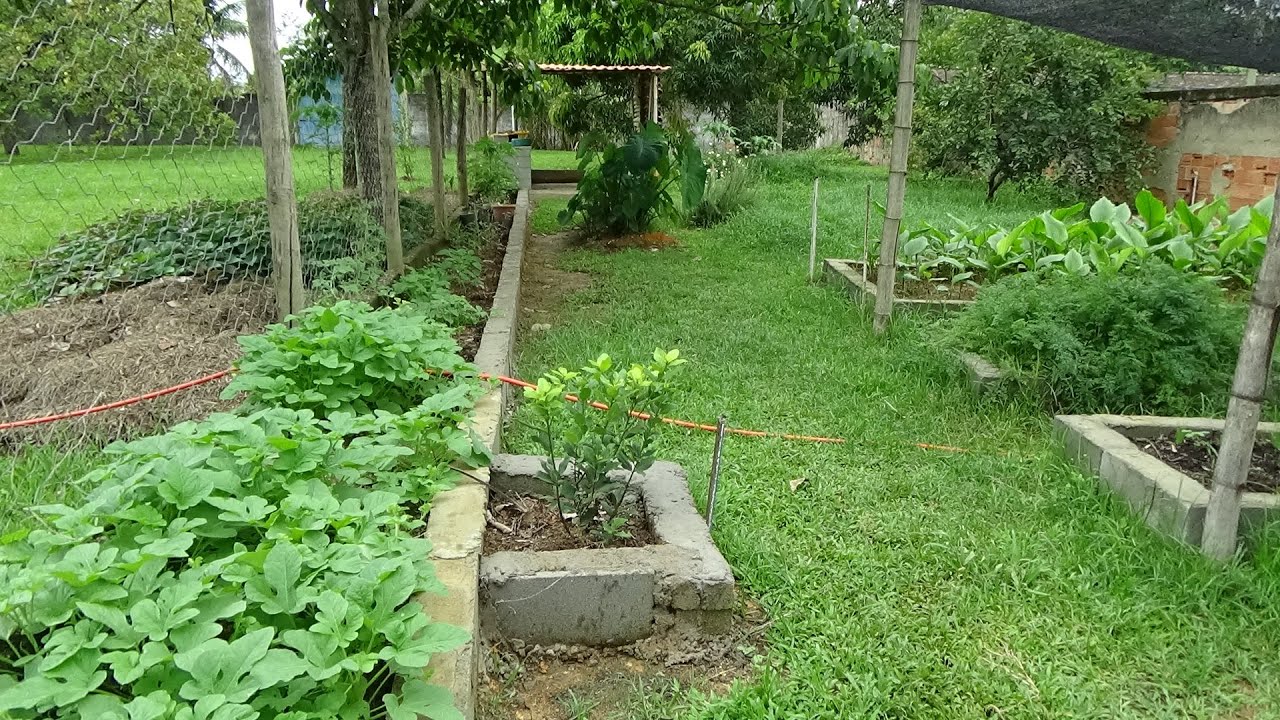 CONGELANDO ALIMENTOS DÁ HORTA POR 3 MESES PARA NÃO ESTRAGAR