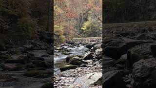 FALL COLORS & Wild Stream Sounds