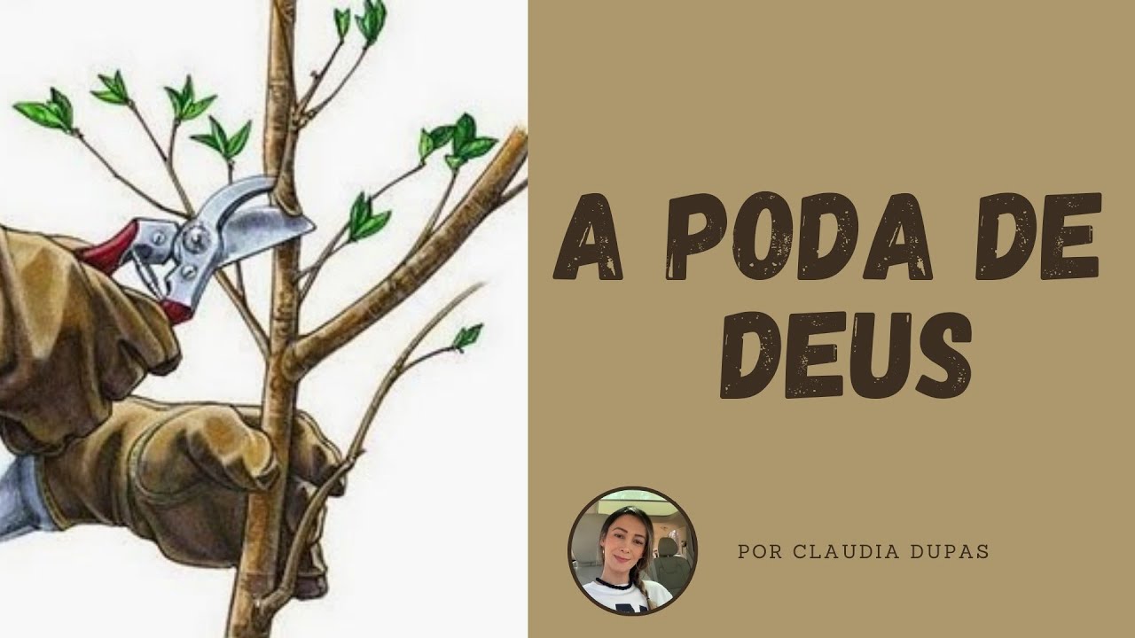 A PODA DE DEUS - CÉLULA - CLAUDIA DUPAS