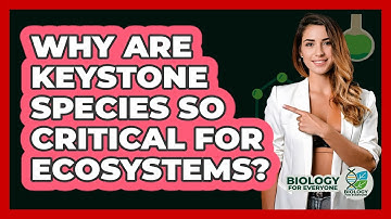 Why Are Keystone Species So Critical For Ecosystems? - Biology For Everyone
