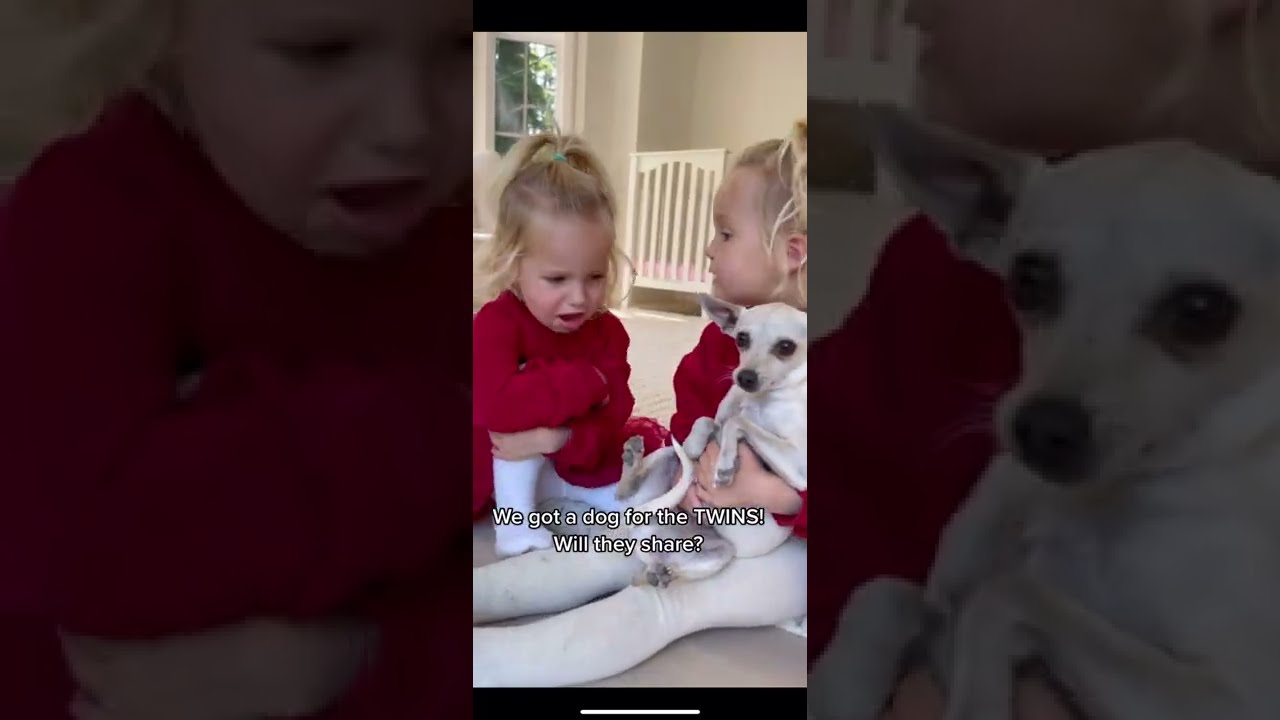 Twins Got A Dog Will They Share 
