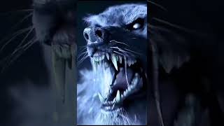 Werewolves Battle #lovedeathandrobots #shapeshifters #shorts #edit