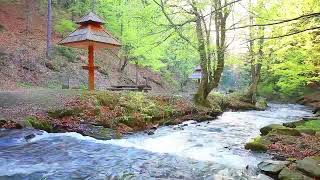 Beautiful music with nature sounds incredibly relaxing Perfect for massages studying and relaxing